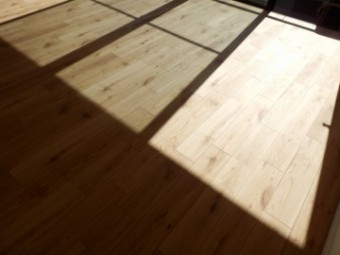 PB210376 PB210376-e1540108618427